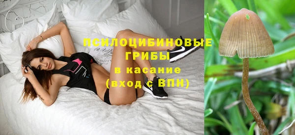 спиды Вязьма