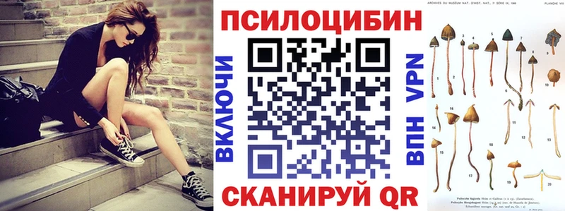 Псилоцибиновые грибы Psilocybine cubensis  Купить закладки  Кувандык 
